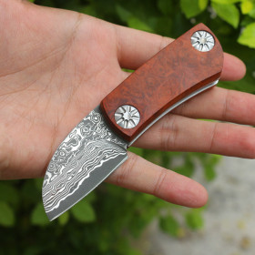 VG10 Damascus Steel Red Shadow Armored Outdoor Self Defense Pocket Camping EDC Hand Tool Tactical Survival Folding Knife Hunting (Limited Edition) UD405525